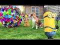 Minions and Lego Animations Get In All Kinds Of Trouble. Best Compilation Video