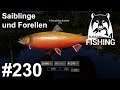 Seesaiblinge und Forellen am Kristallsee 🎣🐋 | Russian Fishing 4 #230 | Deutsch | UwF
