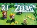 Steph Has a Bad Time | The Legend of Zelda: Link's Awakening (Part 21) - Super Hopped-Up