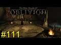 The Elder scrolls IV Oblivion-Max Difficulty-Part 111 (Killing Mannimarco)