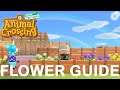 Animal Crossing: New Horizons - EPIC FLOWER GUIDE! (No Commentary)
