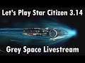 Star Citizen 3.14 - Learning to Play Again (Grey Space Live Stream)