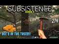 Subsistence S3 ep274 | Bee's In The Trees. | Base building| survival games| crafting