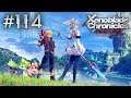 Xenoblade Chronicles: Definitive Edition Playthrough with Chaos part 114: Fireworks