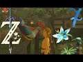 Zelda: Breath of the Wild! Part 7 *Chasing Chicks*