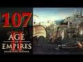 Прохождение Age of Empires 2: Definitive Edition #107 - Руины империй [Франсишку ди Алмейда]