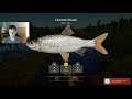 Russian Fishing 4 Trophy Hunting with Mdawg: Common Roach on Mosquito Lake