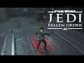 Star Wars: Jedi Fallen Order - Deedot Irepip