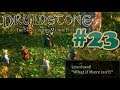 There's no other way : Druidstone #23 (Sanctuary)