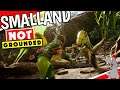 THIS IS NOT GROUNDED! Smalland Gameplay! A New Mini Survival Game - Console Release!