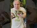TWO HEADED SNAKE AND TWO HEADED TURTLE!! #SHORTS | BRIAN BARCZYK