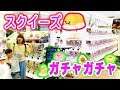 【大量】ガチャガチャ専門店でぐでたまスクイーズコンプリートできるまで帰れまてん!!!やったら奇跡が… 家族Vlog