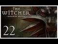 Deadsouls Plays: The Witcher: Enhanced Edition ► Episode 22