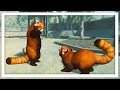 I Built A Zoo To Exploit An Endangered Species in Planet Zoo