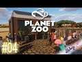 Planet Zoo #004 - Total Pleite | Lets Play Planet Zoo
