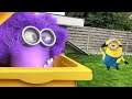 Minions Living in My House Animation.