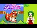 超級瑪莉歐M 2021 Mario Hack #62 Peach's Adventure