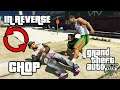 GTA 5 : Chop in REVERSE - Mission 6 (Funny Moments)