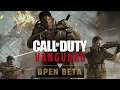 How To Get FREE CALL OF DUTY VANGUARD BETA CODES!