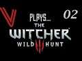 Slight Distractions! The Witcher 3 (Blind) part 2