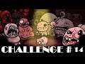 The Binding of Isaac Afterbirth+ Challenge #14: It's in the Cards