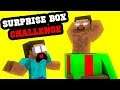 Unboxing Surprise Present - Minecraft Animation