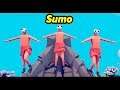 3 - Sumo vs Units (TABS Mod)
