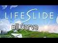 Lifeslide #11 Carve