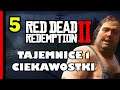 Red Dead Redemption 2 - Tajemnice i Ciekawostki 5