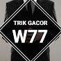 TRIK GACOR W77