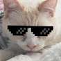 SavageCat