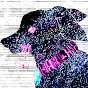 宇宙犬ヒロ