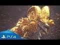 ARCH TEMPERED KULVE TEROTH  ||  Monster Hunter World