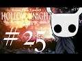 Let's play Hollow Knight part 25