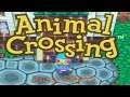 Animal Crossing Gamecube Working for Tom Nook