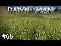 Dawn of Man | #66 - Der erhoffte Aufschwung? - [Let's Play] [Gameplay] [Deutsch] [German]