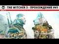 The Witcher 3 - Прохождение #41