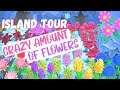 THIS ISLAND HAS THE MOST FLOWERS EVER! ANIMAL CROSSING NEW HORIZONS DA ISLAND TOUR (ACNH)