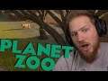 Ez nem maradhat ki az oroszlánok kifutójáról! - Planet Zoo
