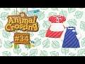 Prepariamo i prossimi Giveaway - Animal Crossing: New Horizons #34 w/ Chiara