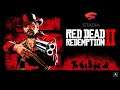 Red Dead Redemption II - Stadia Gameplay