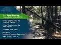 CRYENGINE Tutorial - Art Asset Pipeline: Collision Proxies (3DS Max)