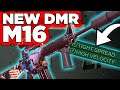New DMR! M16 Explained vs. AUG CW Class, Warzone tips by P4wnyhof