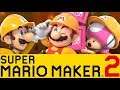Super Mario Maker 2 w/ Jazzy & BMF100 - Shadow & Friends