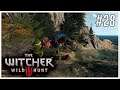 TÔ FICANDO BOM - THE WITCHER 3 - EP. 28