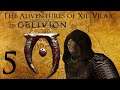 Oblivion: The Adventures of Xil-Vilax - Part 5 - Fines