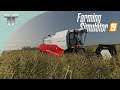 Temos Cevada para o Ano Todo | Farming Simulator 19 Gameplay Português Ep9