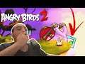 ANGRY BIRDS 2 (#98) - PORCO SE ESCONDEU BEM KKK