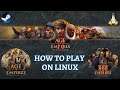 How to Install and Play Age of Empires I, II, & III Definitive Editions on Linux