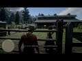Red Dead Redemption 2 ultimate a9 stream